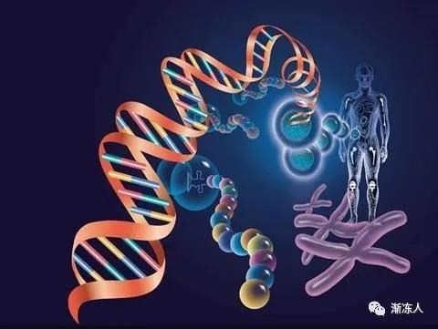 在所有ALS患者中有3％存在新基因变异